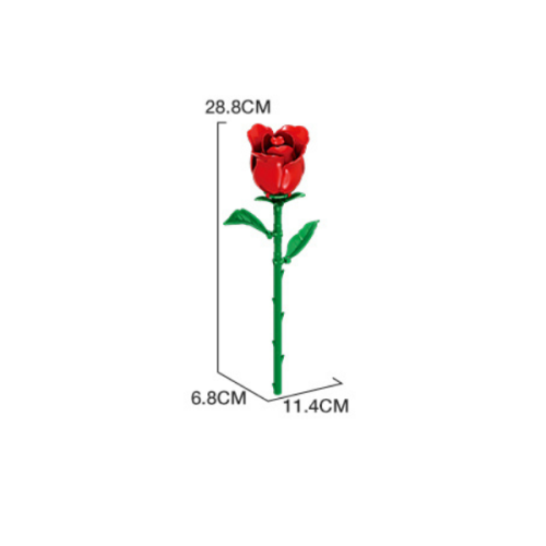 11543_RO.png